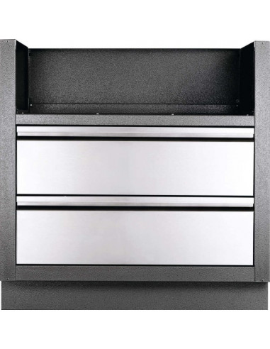 MODULE POUR BI 32 SERIE 500 OU BIG32 SERIE 700 Napoleon