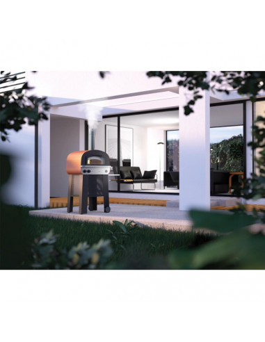 FOUR A PIZZA HYBRIDE PIERO SUR CHARIOT FONTANA