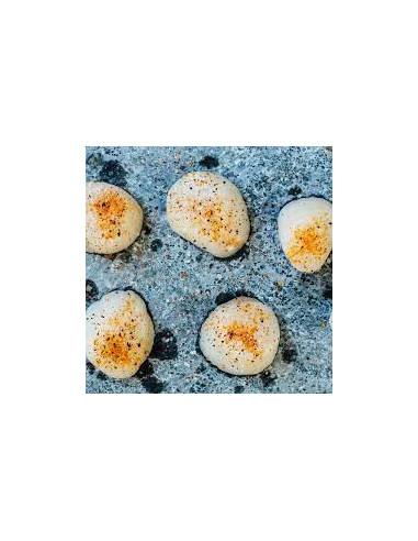 PIERRE OLLAIRE DEMI-LUNE POUR KAMADO JOE BIG JOE KAMADO JOE