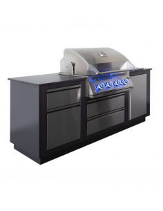 CUISINE EXTERIEUR NAPOLEON OASIS COMPACT BIG 32 Napoleon 2