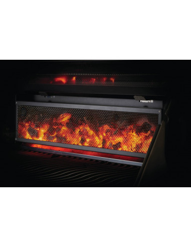 Barbecue à  charbon de bois Napoleon PRO 605 Napoleon