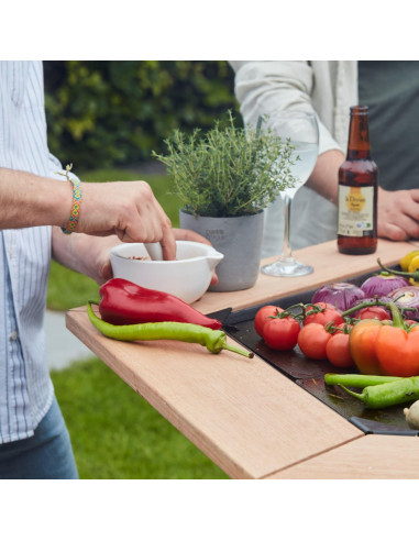 TABLETTE POUR BRASERO NESTOR BARBECOOK BARBECOOK