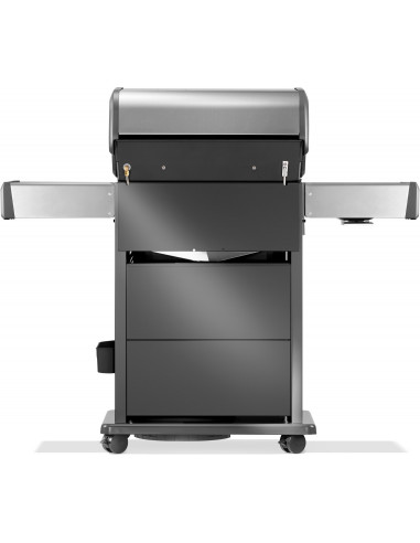 BBQ GAZ ROGUE PRO-S 425 RSIB INOX - 3 BRULEURS + SIZZLE ZONE + BRULEUR ARRIERE Napoleon