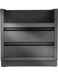Module OASIS Noir Mat BIPRO500 Napoleon