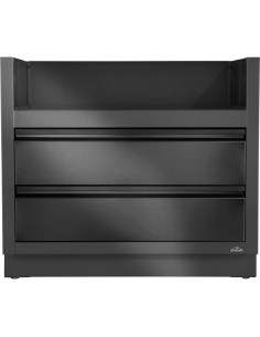 Module OASIS Noir Mat BIPRO665 Napoleon