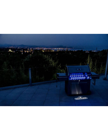 Barbecue à  gaz Napoleon PRESTIGE PRO 665 Inox Napoleon